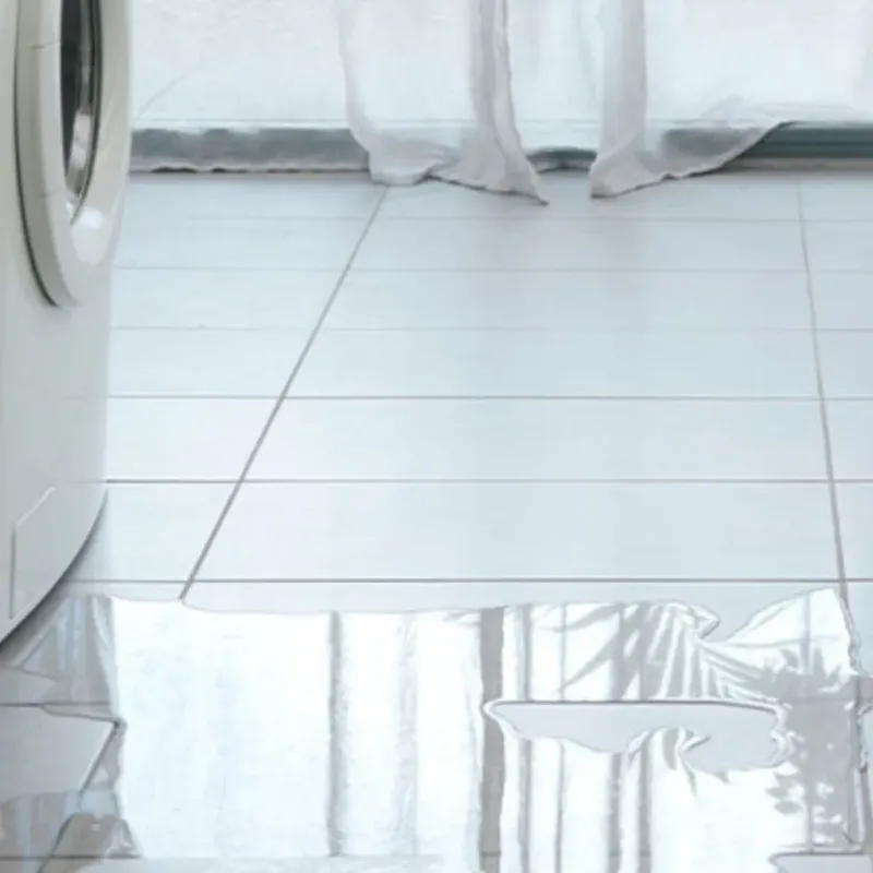 Appliance Leak Cleanup in Freedom, NH