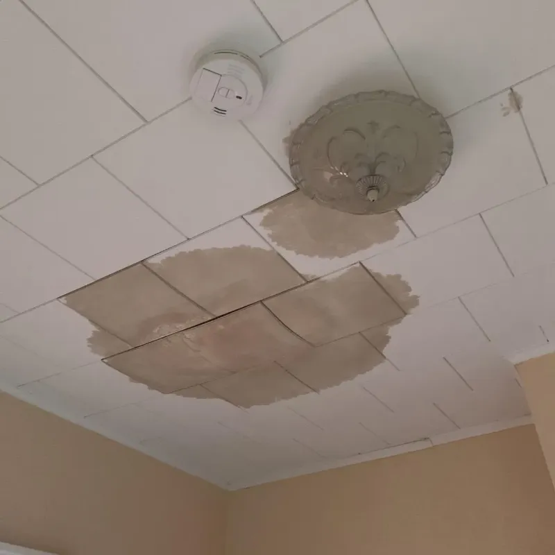 Ceiling Water Damage Repair in Freedom, NH