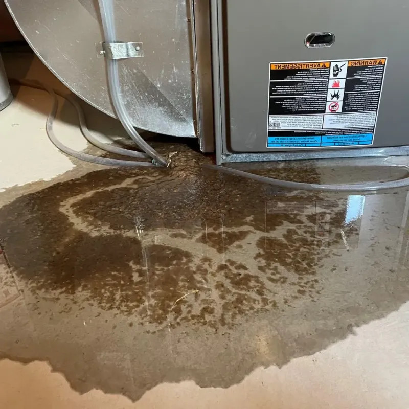 Pipe Burst and Leak Restoration in Freedom, NH